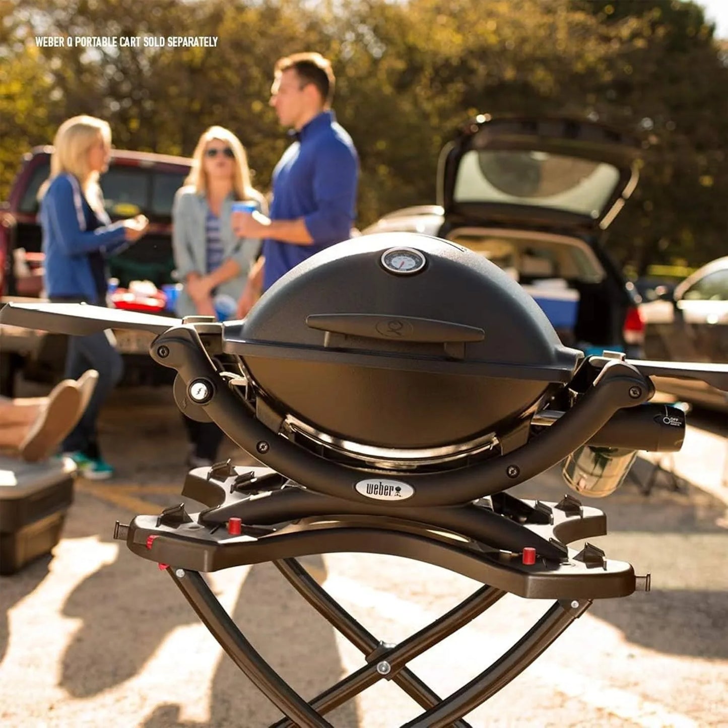 Q1200 Liquid Propane Grill Folding Side Tables Electronic Ignition Lid Thermometer Compact Design